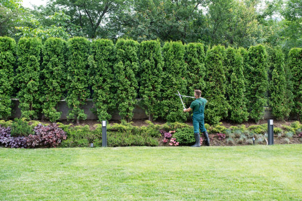 Best Lawn Watering Services  in Nottingham, PA